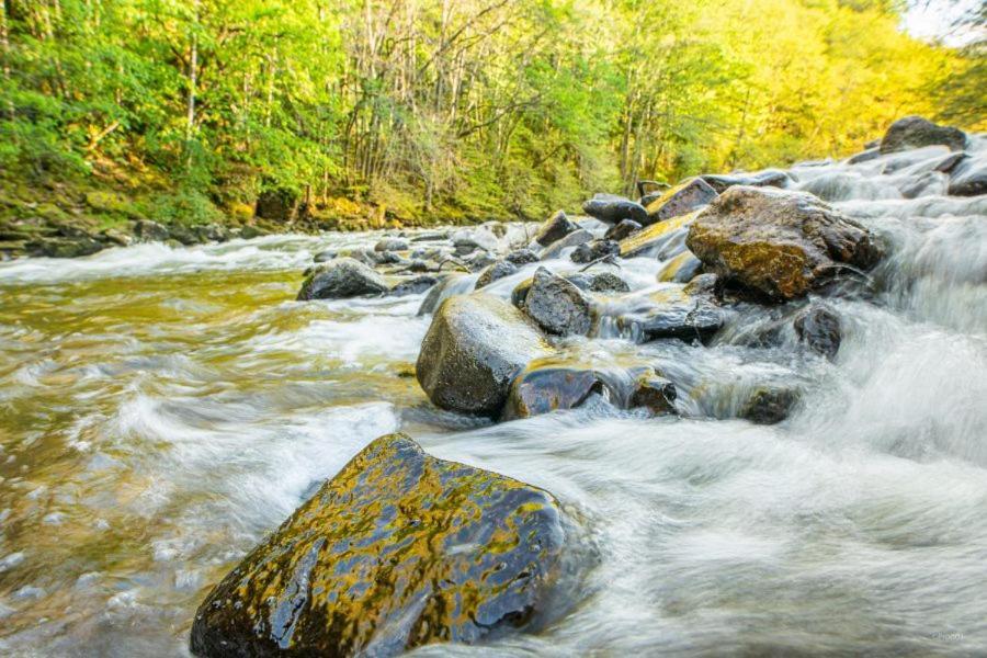 Studio En Auvergne Le Ruisseau Saint-Priest-Bramefant Екстер'єр фото